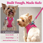 Step-In Reflective Mesh Pet Harness and Leash Set