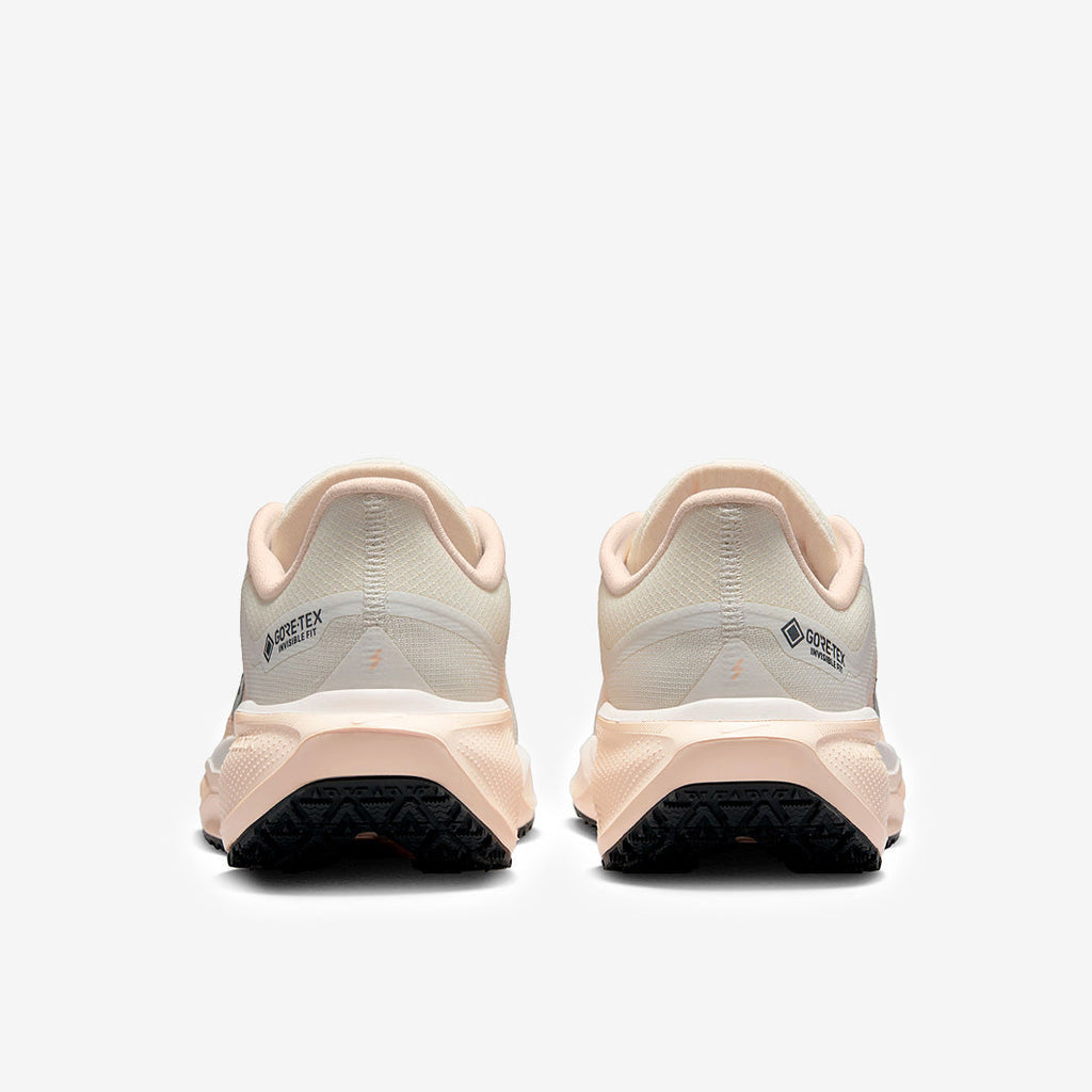 Nike Womens Pegasus 41 GORE-TEX