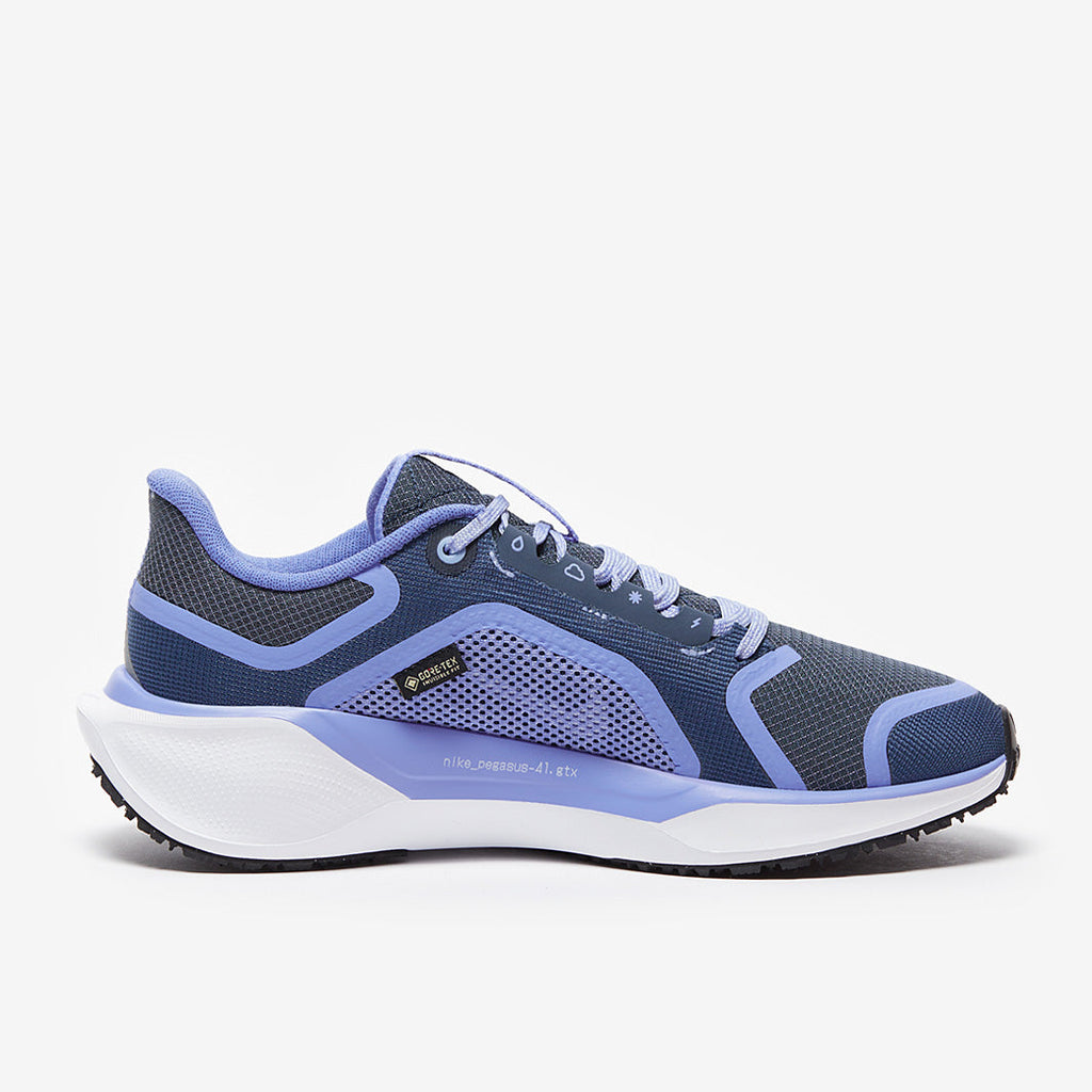 Nike Womens Pegasus 41 GORE-TEX