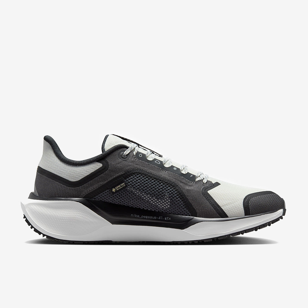 Nike Pegasus 41 GORE-TEX