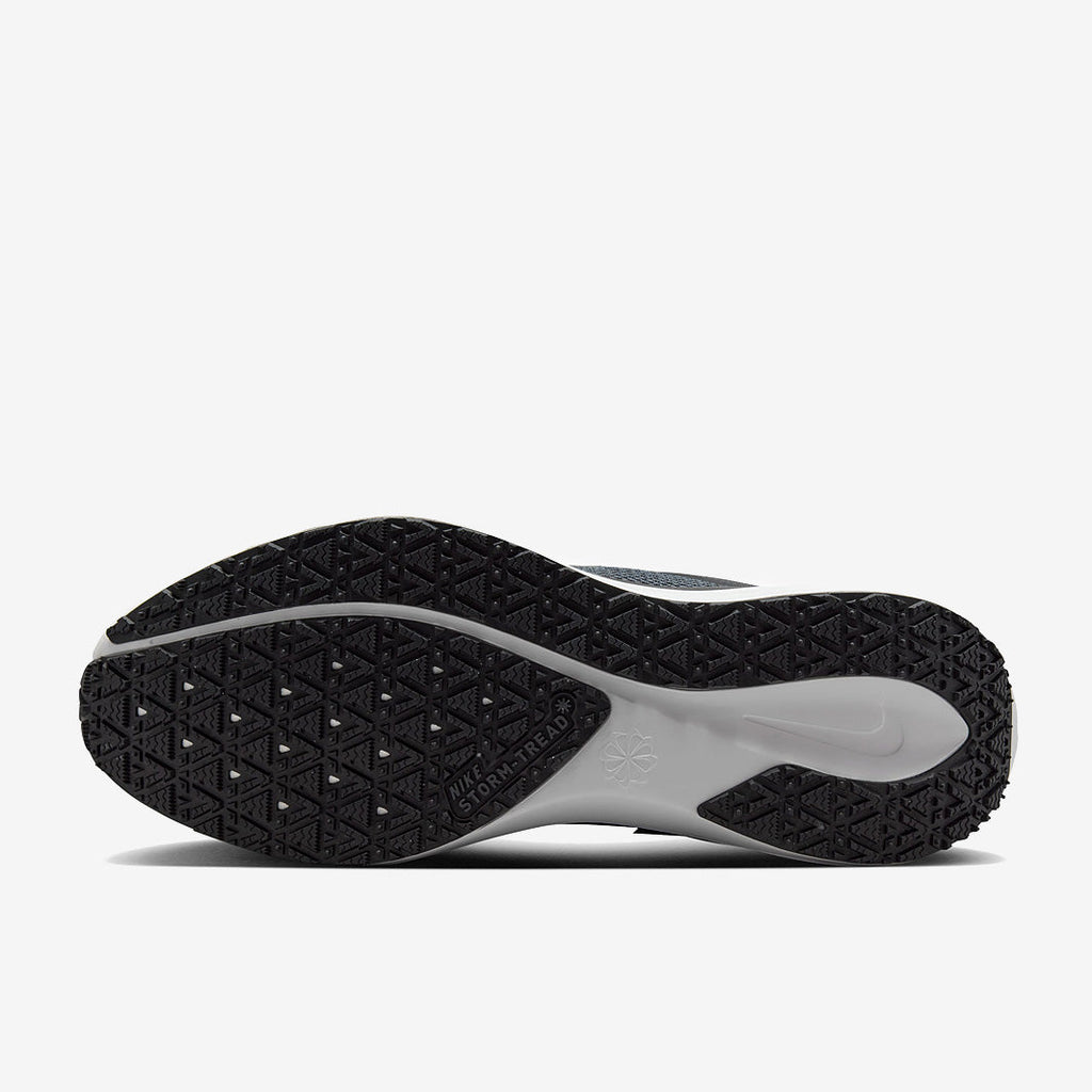 Nike Pegasus 41 GORE-TEX