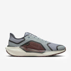 Nike Pegasus 41 GORE-TEX