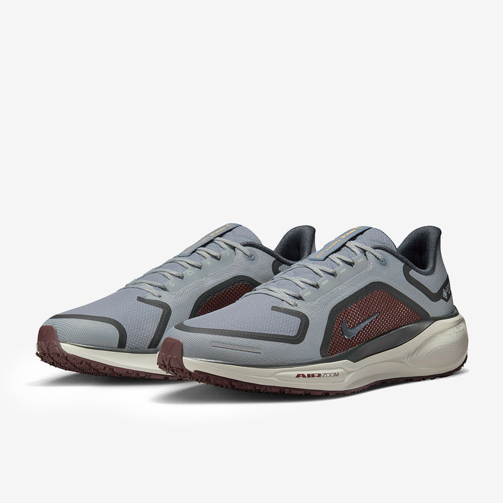 Nike Pegasus 41 GORE-TEX