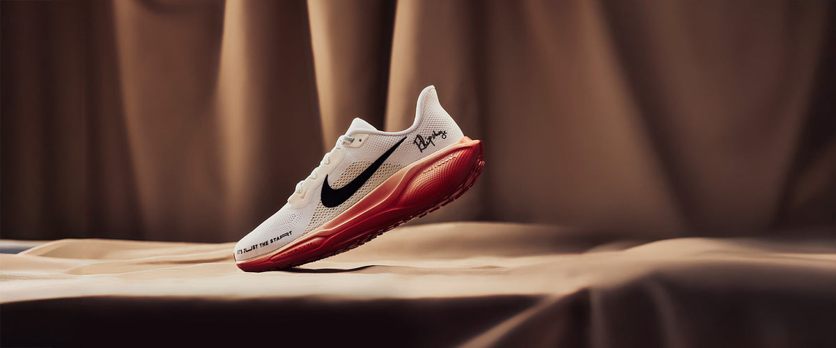 Nike Air Zoom Pegasus 41