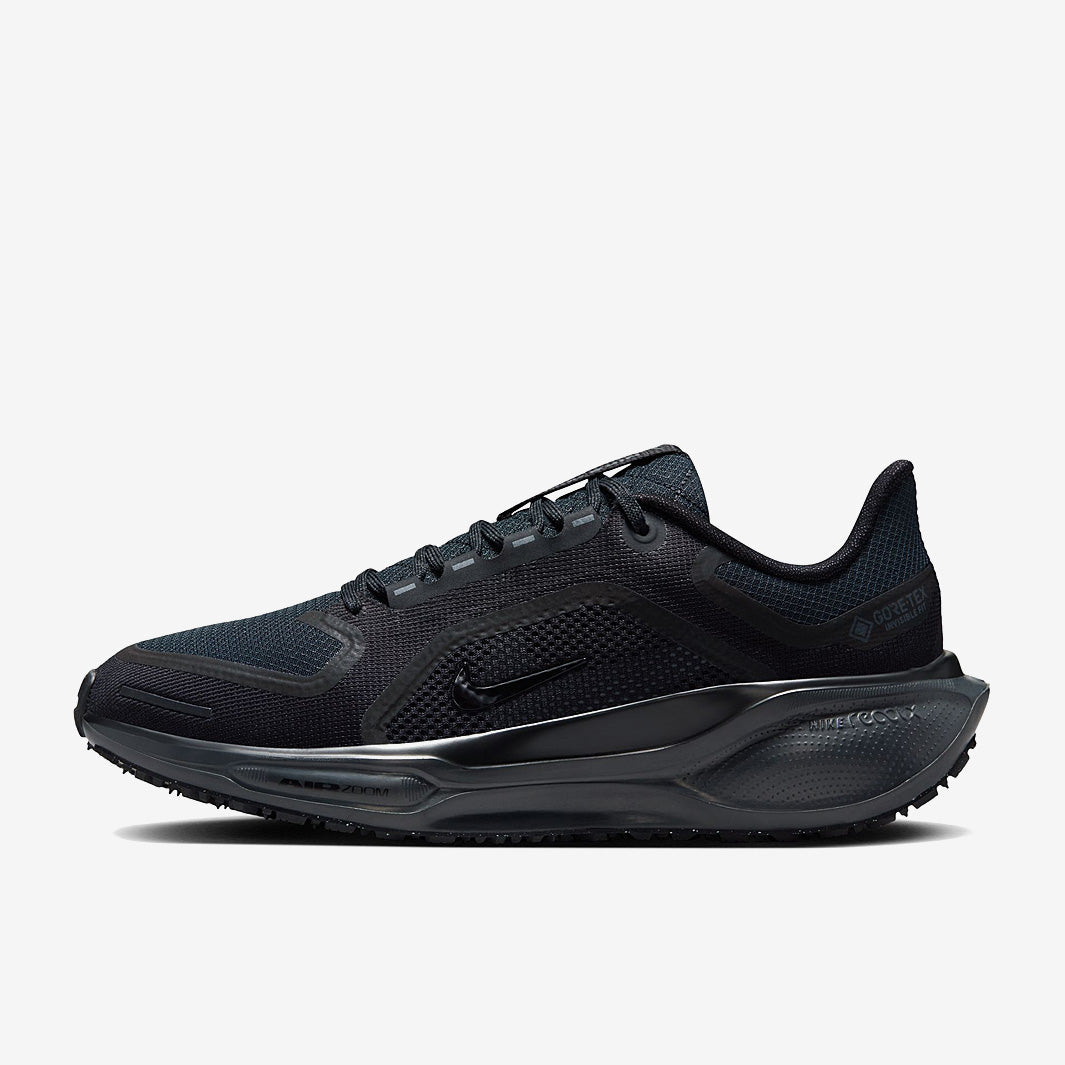 Nike Womens Pegasus 41 GORE-TEX