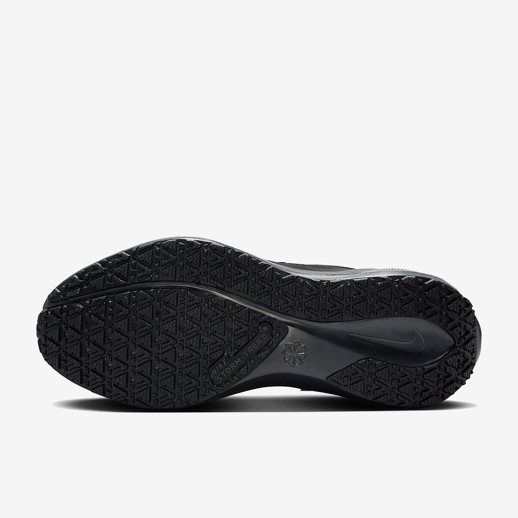 Nike Womens Pegasus 41 GORE-TEX