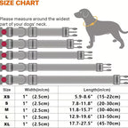 Adjustable Reflective Padded Nylon Safety Pet Collar
