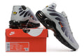 Nike Air Max Plus Sneakers in Grey and Black