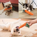 Bite-Resistant Carrot Rope Knot Chew Toy for Pets