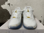 Nike LeBron 21 Basketball Shoes White Gold