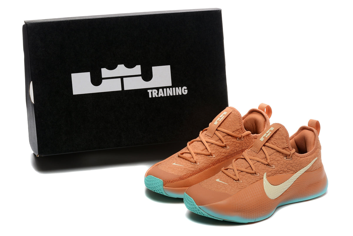 Nike LeBron Training Shoes in Rust and Teal