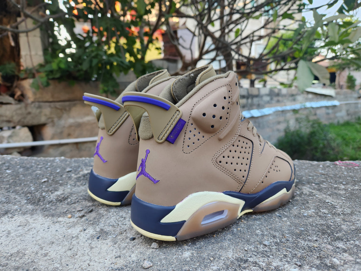 Air Jordan 6 High-Top Sneakers in Brown and Purple