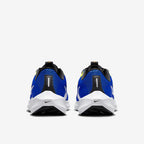 Nike Pegasus 40