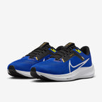 Nike Pegasus 40