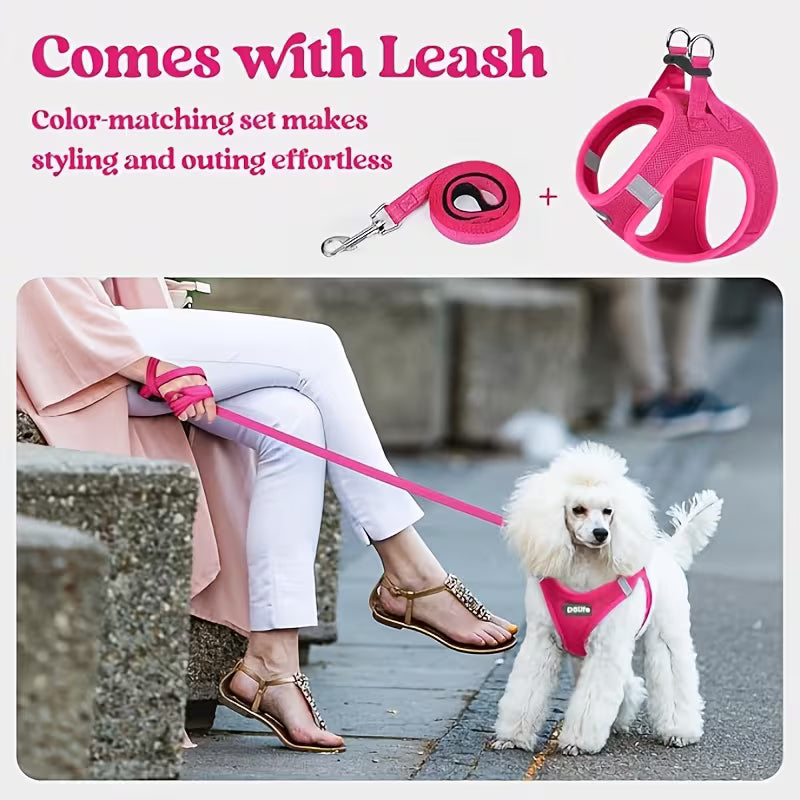 Step-In Dog Harness & Leash Set – Lightweight Reflective Mesh Vest for Small Dogs & Puppies
