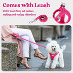 Step-In Reflective Mesh Pet Harness and Leash Set