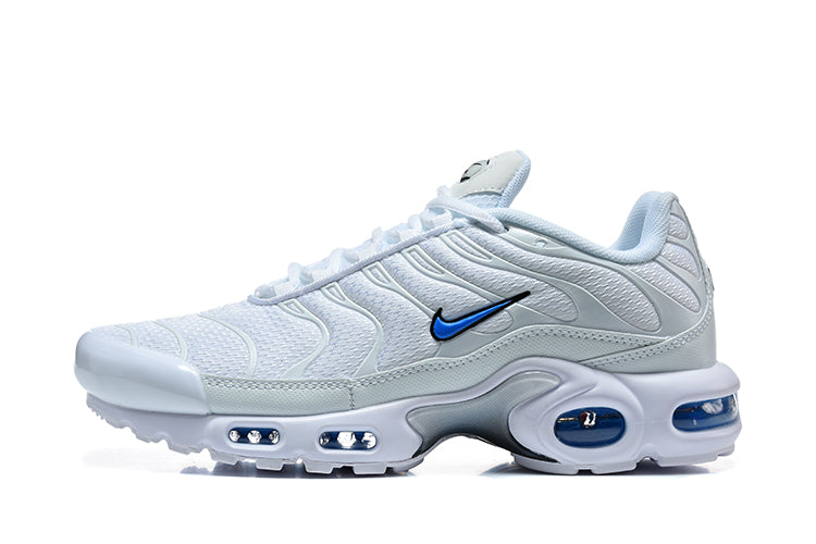 Nike Air Max Plus White and Blue Sneakers DM0032-109