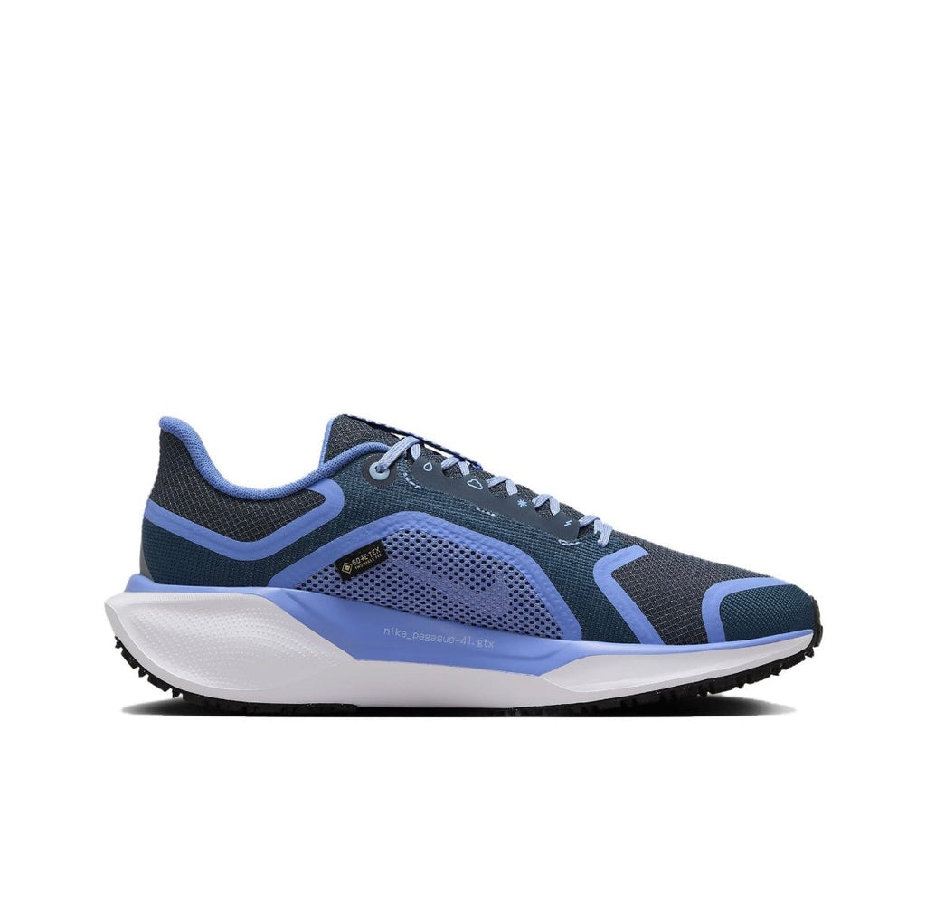 Nike Pegasus 41 GORE-TEX Running Shoes FQ1357-400 Blue