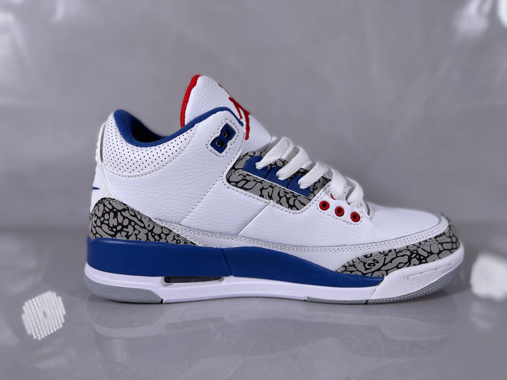 Nike Air Jordan 3 White Blue Elephant Print Sneakers