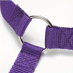 Pet Car Safety Rope Loop Seatbelt Restraint for Travel