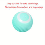 Smart Auto Rolling Electric Ball Toy for Pets