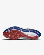 Nike Air Zoom Pegasus 38 Multicolor Running Shoes DD1827-001