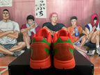 Nike Kobe PE Basketball Shoes in Red and Green