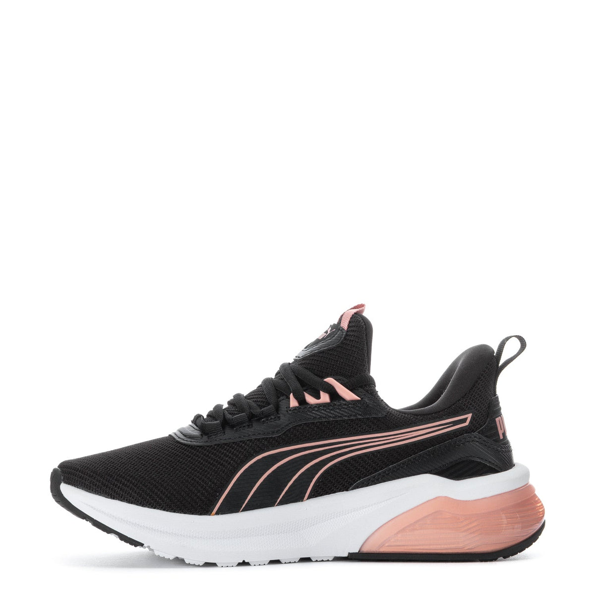 Seeker - Womens