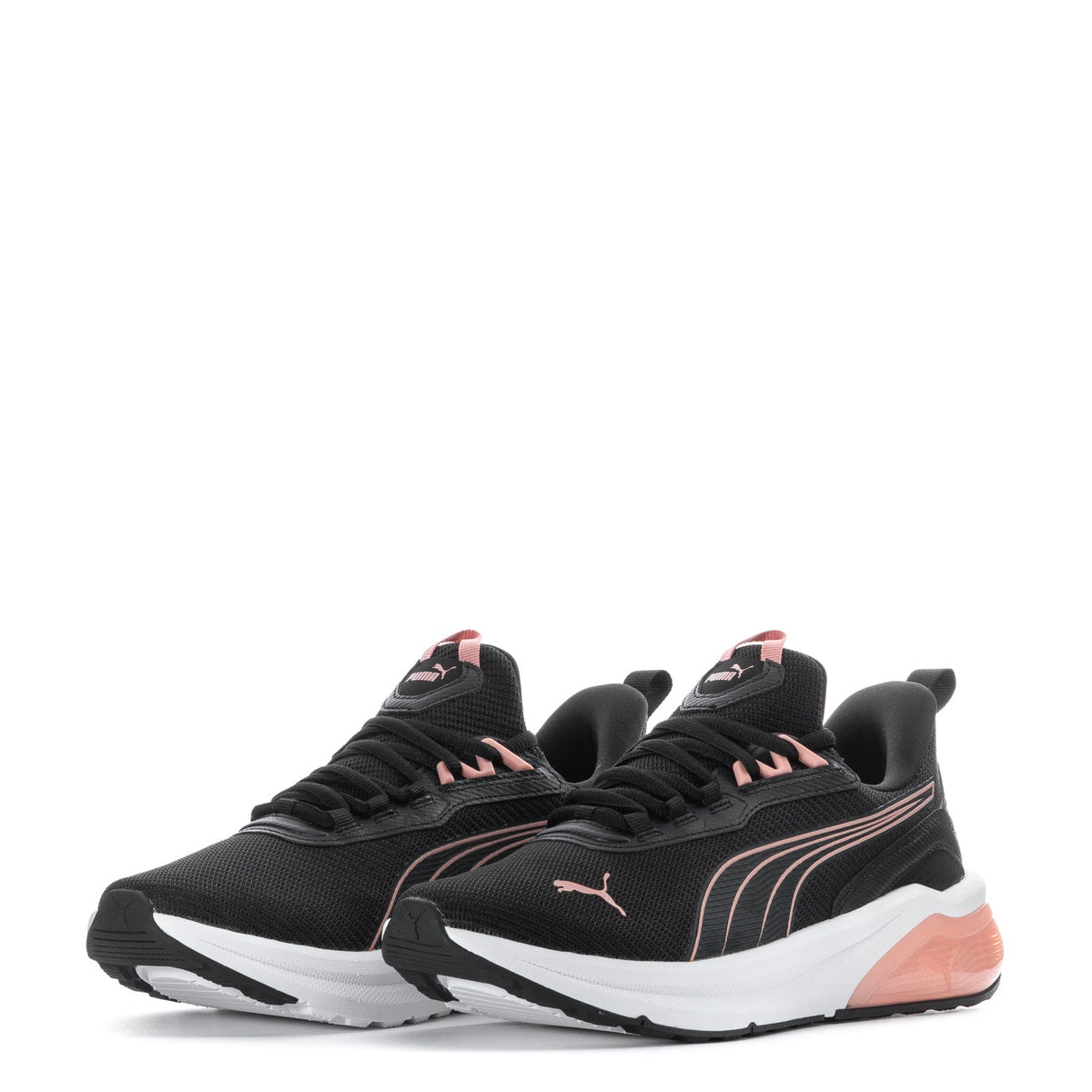 Seeker - Womens