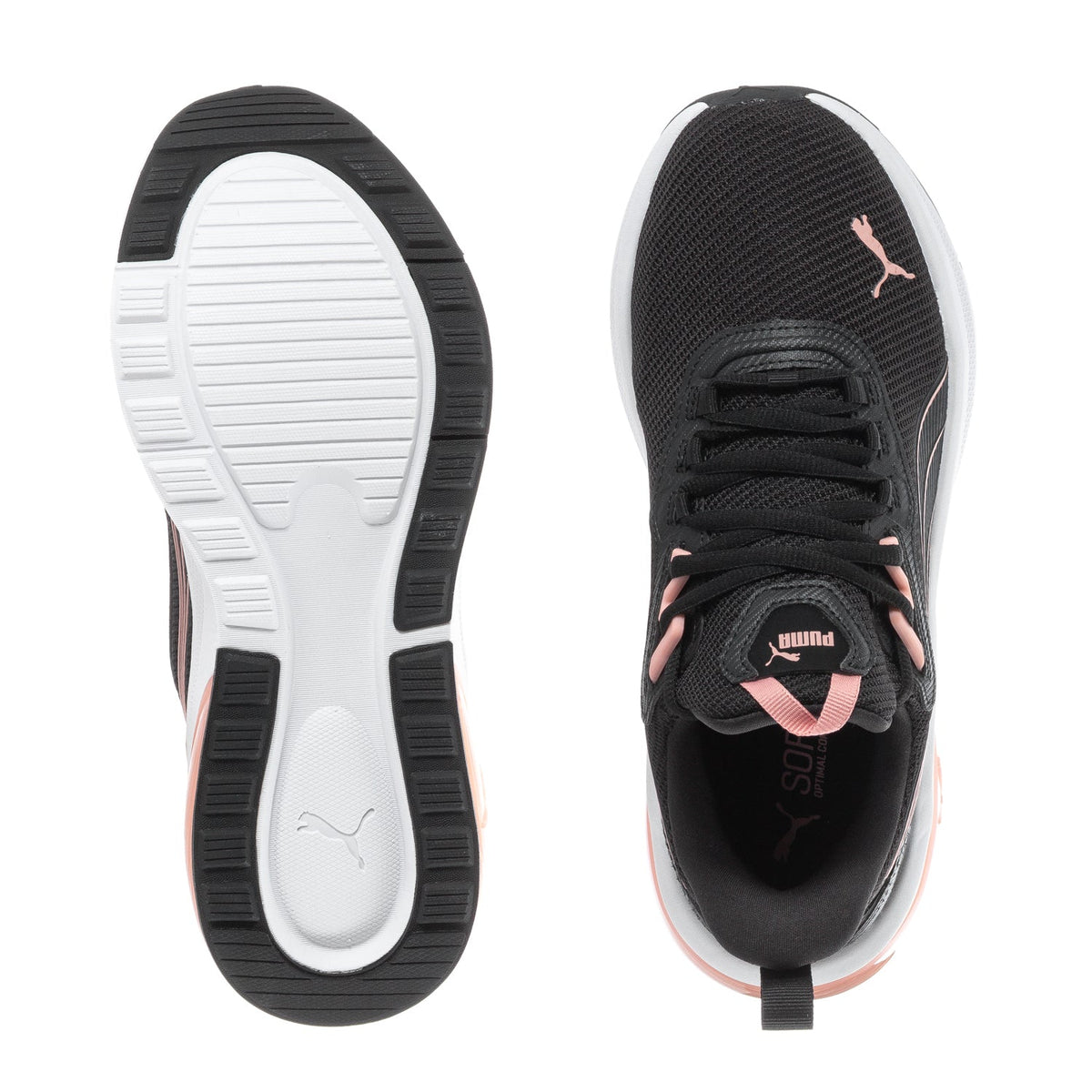 Seeker - Womens