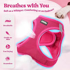 Step-In Reflective Mesh Pet Harness and Leash Set