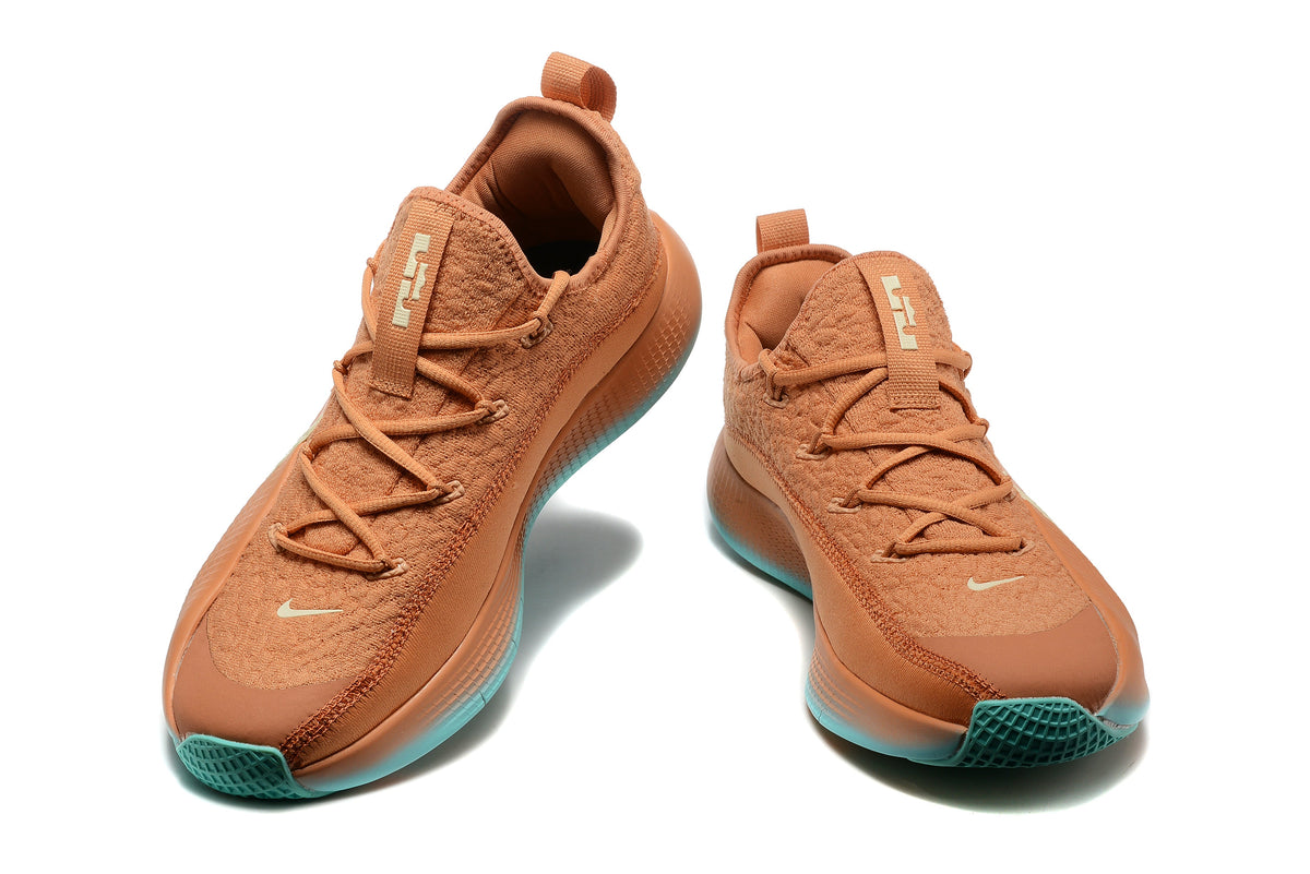 Nike LeBron Training Shoes in Rust and Teal