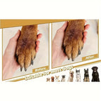 Square Scratch Pad Nail File Care Tool for Pets