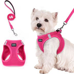 Step-In Reflective Mesh Pet Harness and Leash Set