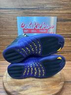 Jordan 12 Retro Field Purple