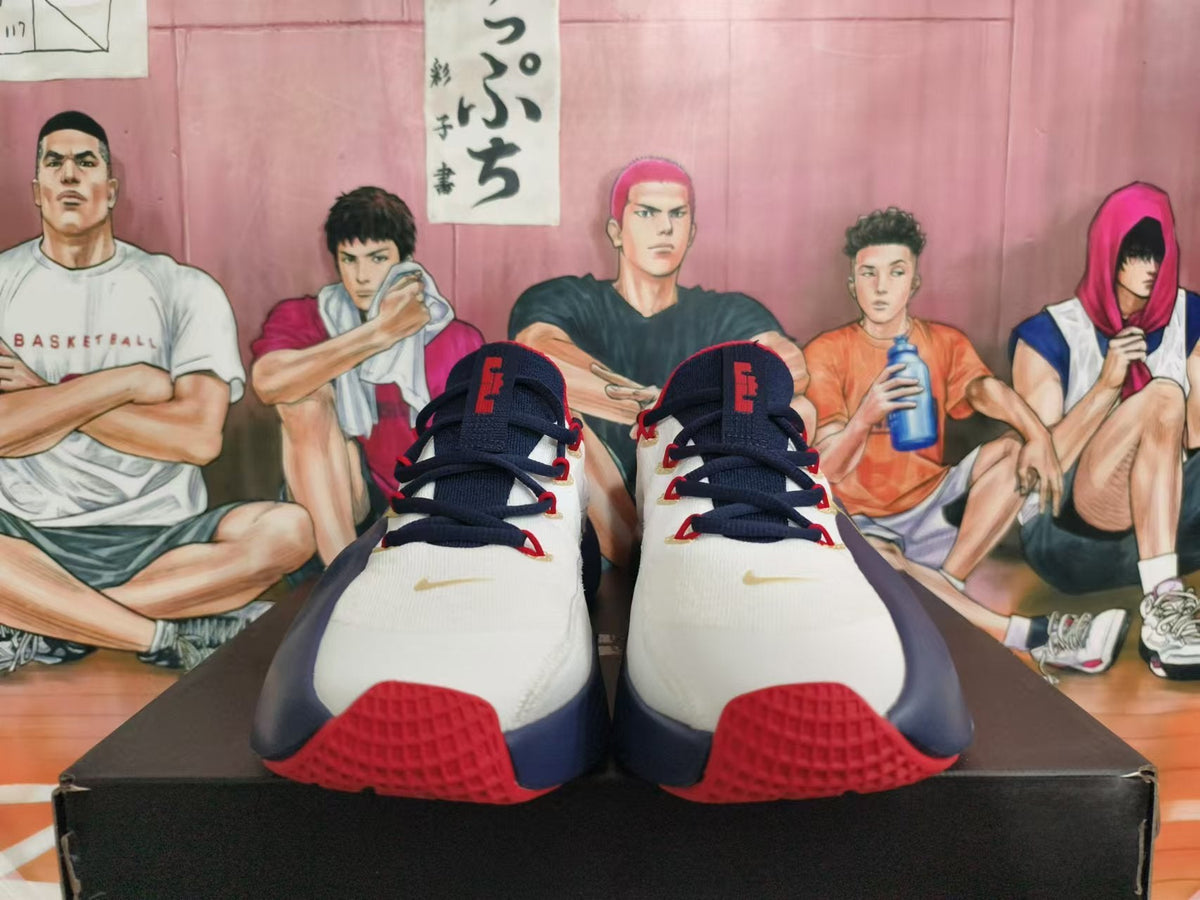 Nike Basketball Shoes, USA Team Colorway, White Navy Red
