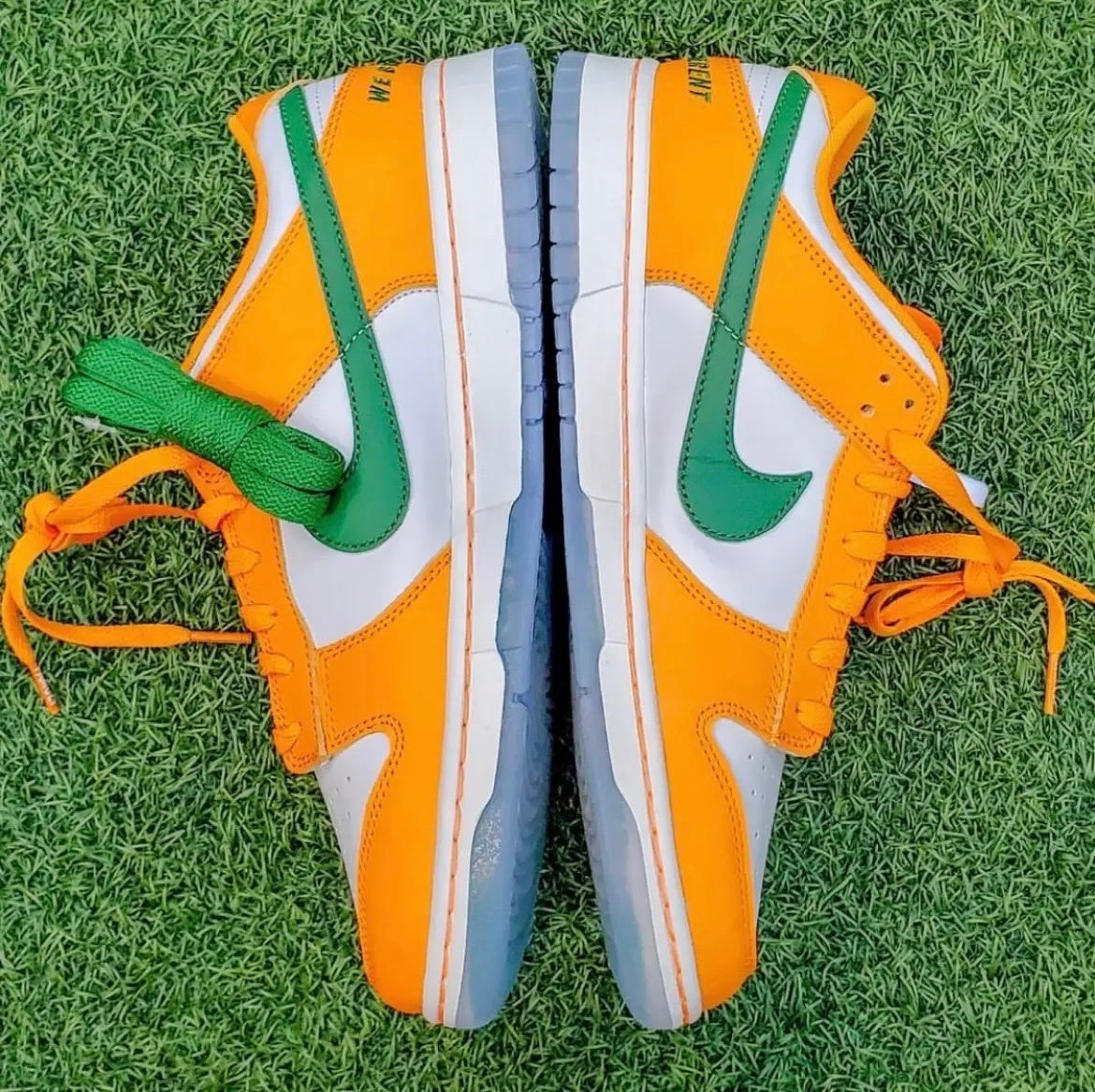 Nike Dunk Low Florida A&M White Orange DR6188-800