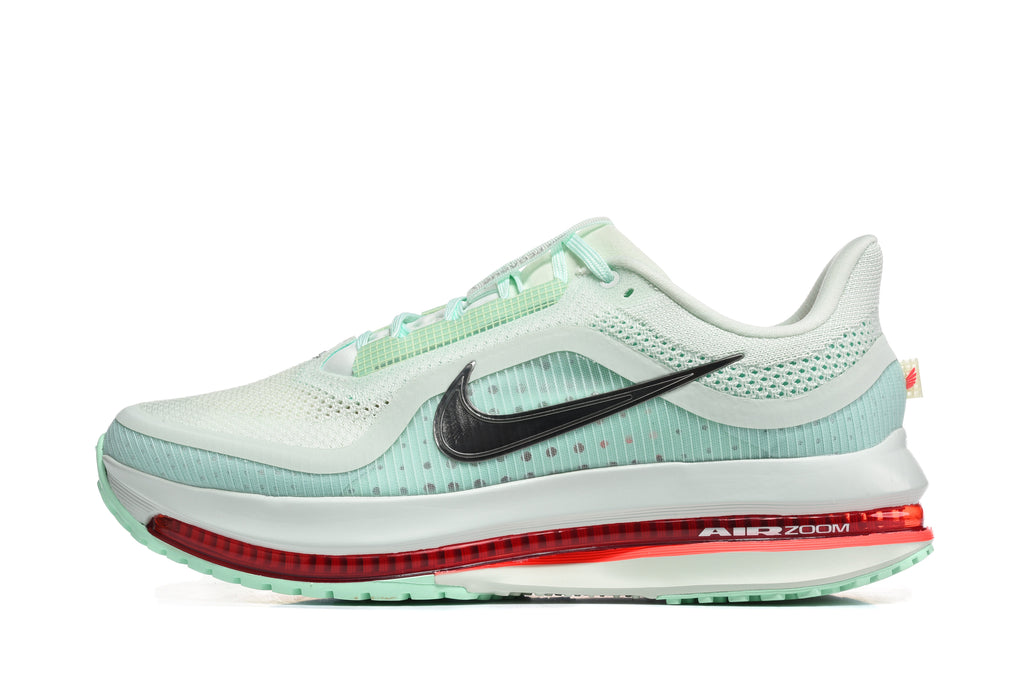 Nike Pegasus Premium SE Sneakers Green Silver HQ2592-301