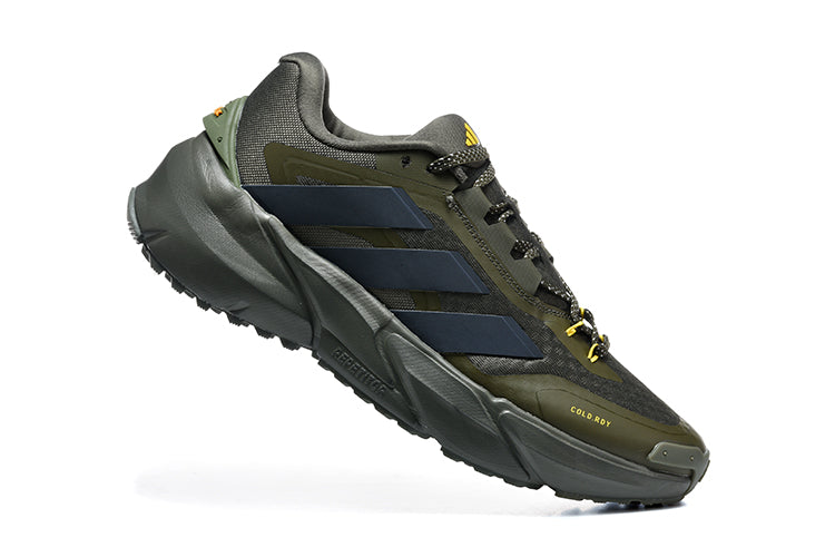 adidas Adistar Cold.Rdy Trail Sneakers in Olive Green