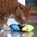 Crinkle Plush Pet Toy for Dental Health and Stimulation