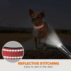 Adjustable Reflective Padded Nylon Safety Pet Collar