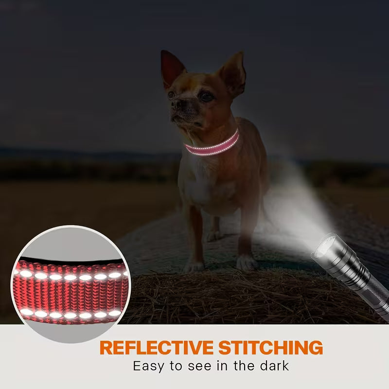 Reflective Dog Collar with Safety Buckle – Adjustable Soft Neoprene Padded Breathable Nylon for Small, Medium & Large Dogs