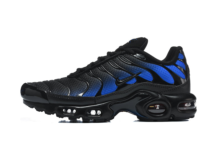 Nike Air Max Plus Black and Blue Sneakers DM0032-041