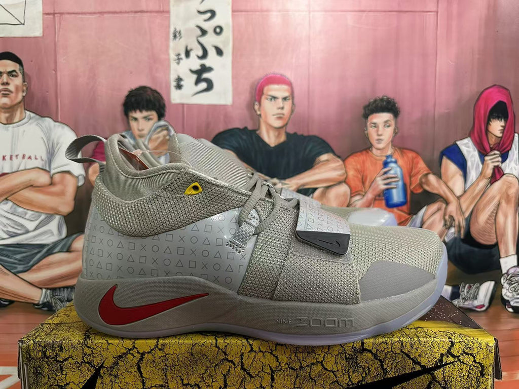 Nike PG 2.5 Basketball Shoes in Grey