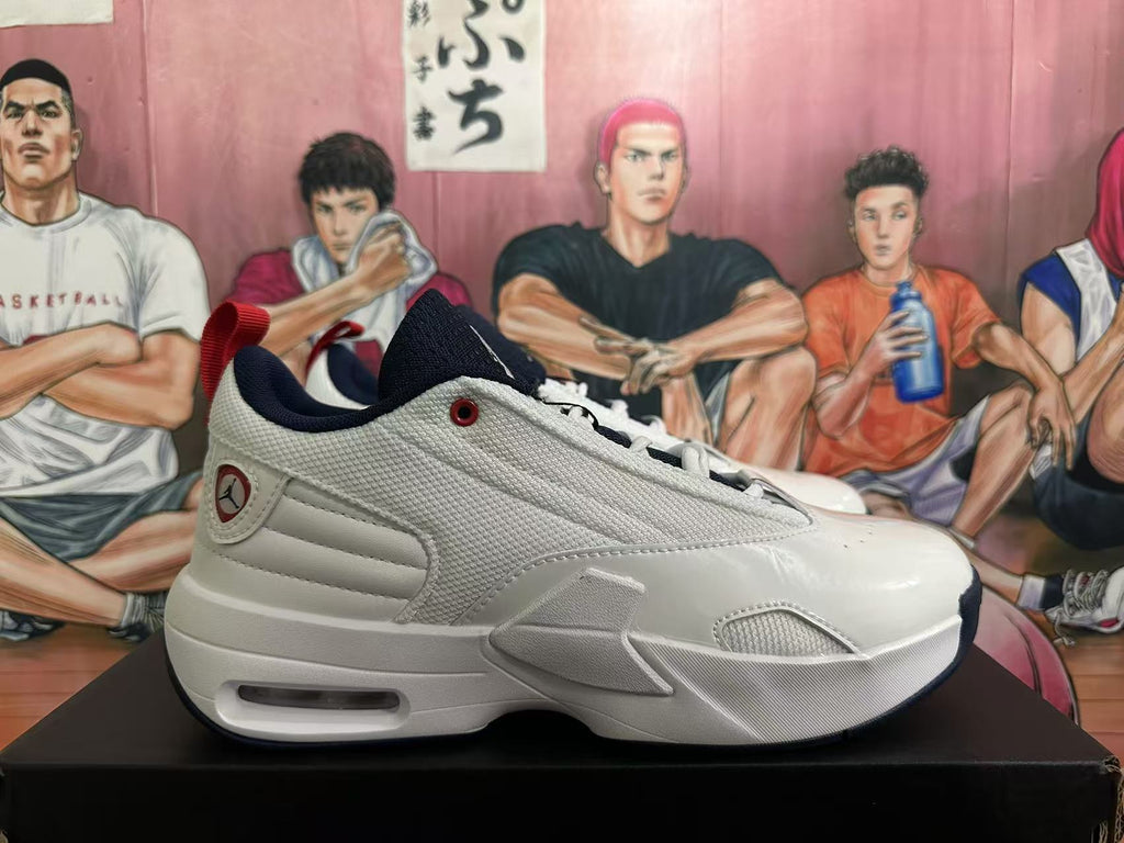 Jordan White and Dark Blue Basketball Sneakers