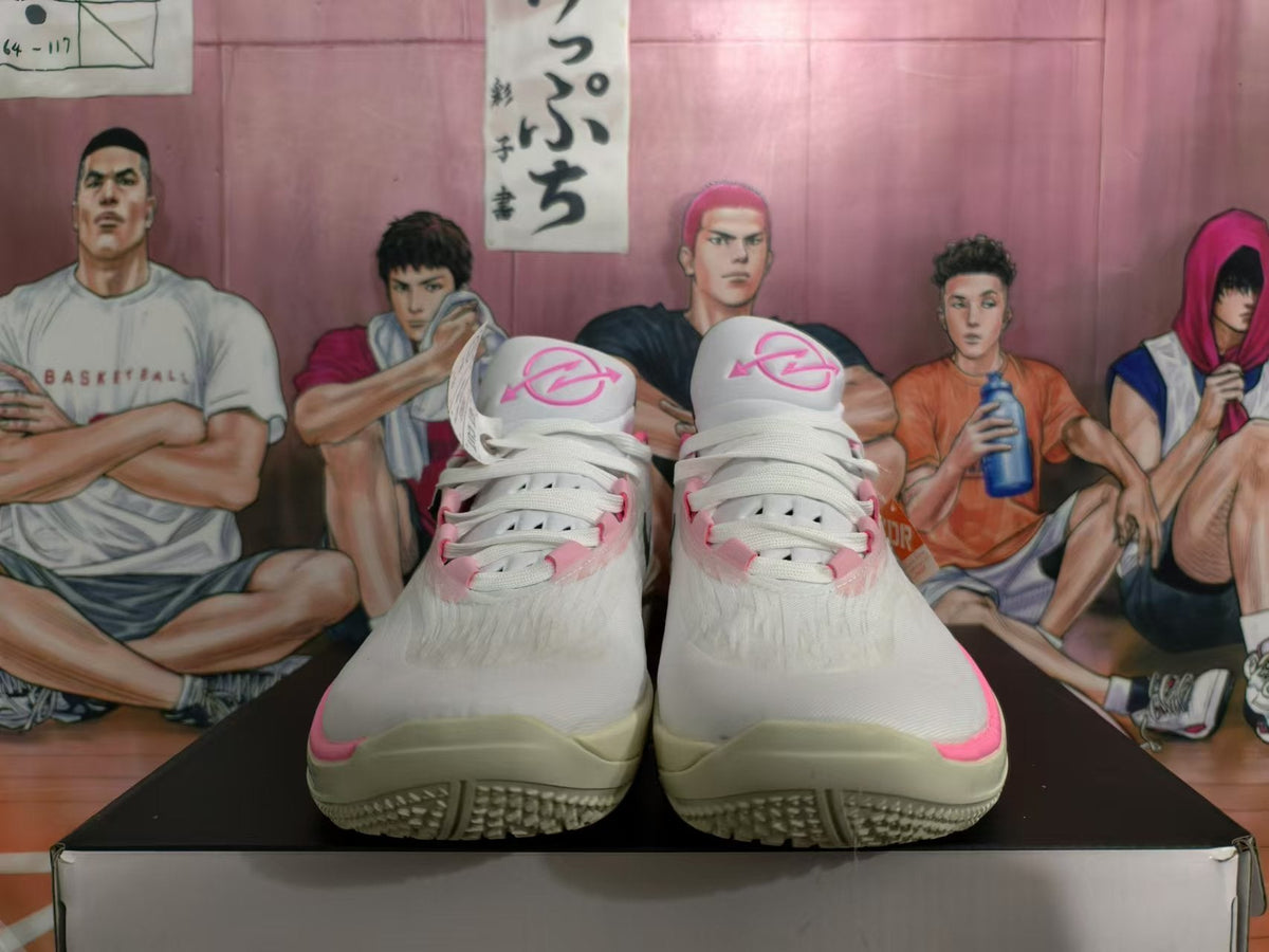 Nike LeBron Basketball Shoes White Pink Black
