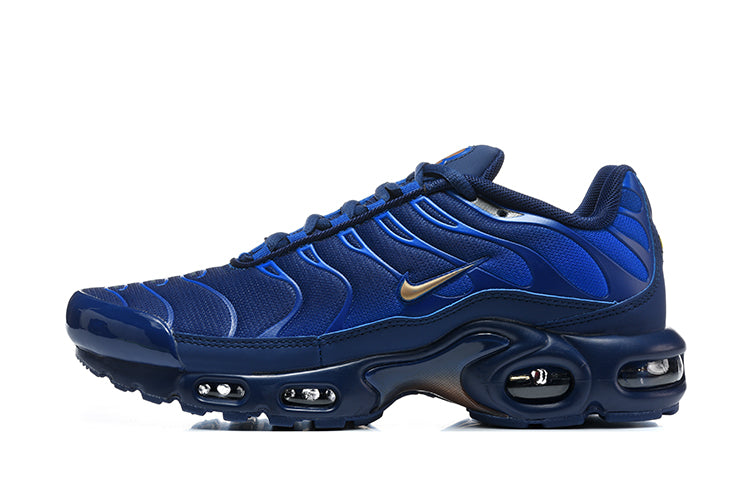 Nike Air Max Plus Blue Sneakers
