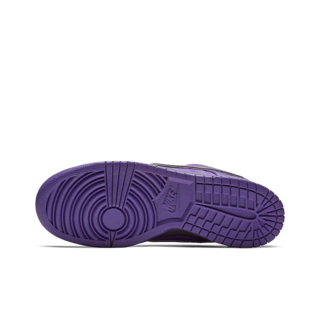 Nike SB Dunk Low Purple Lobster Sneakers BV1310-555