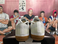 Converse All Star Series White and Gum Low-Top Sneakers