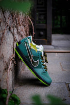 Nike SB Dunk Low Green Lobster Sneakers BV1310-337